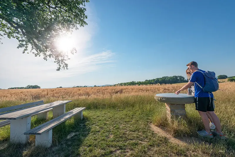 Zwei Wandernde stützen sich im Gegenlicht auf eine steinerne Panoramatafel am Rand eines reifen Kornfelds, links eine Rastbank unter einer Eiche.