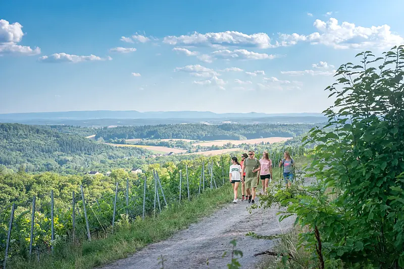 Vier Wandernde auf einem Weinbergweg im Sommer, links die Rebzeilen am Hang, dahinter der weite Blick über den Kraichgau bis zum Horizont.