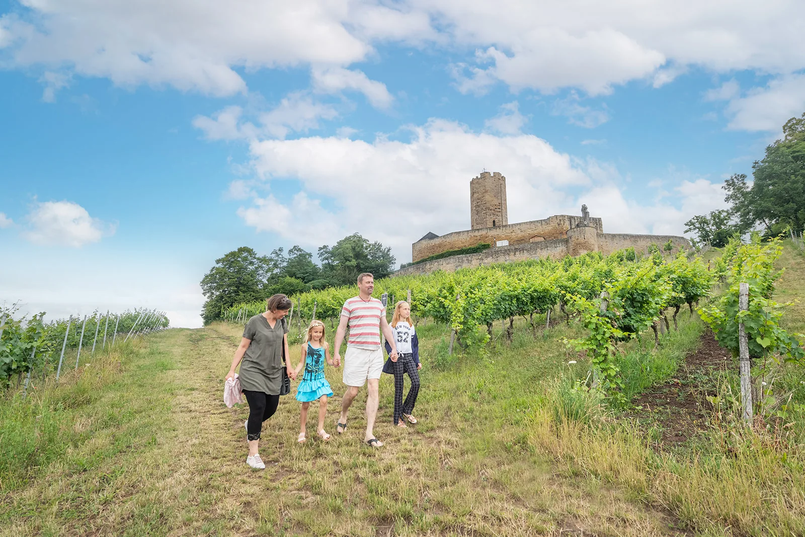 Familie mit zwei Kindern geht Hand in Hand einen Grasweg zwischen Rebzeilen hinab, oben auf dem Hügel die Burg Steinsberg mit ihrem achteckigen Bergfried.